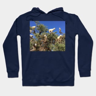 Goats in an argan tree Hoodie